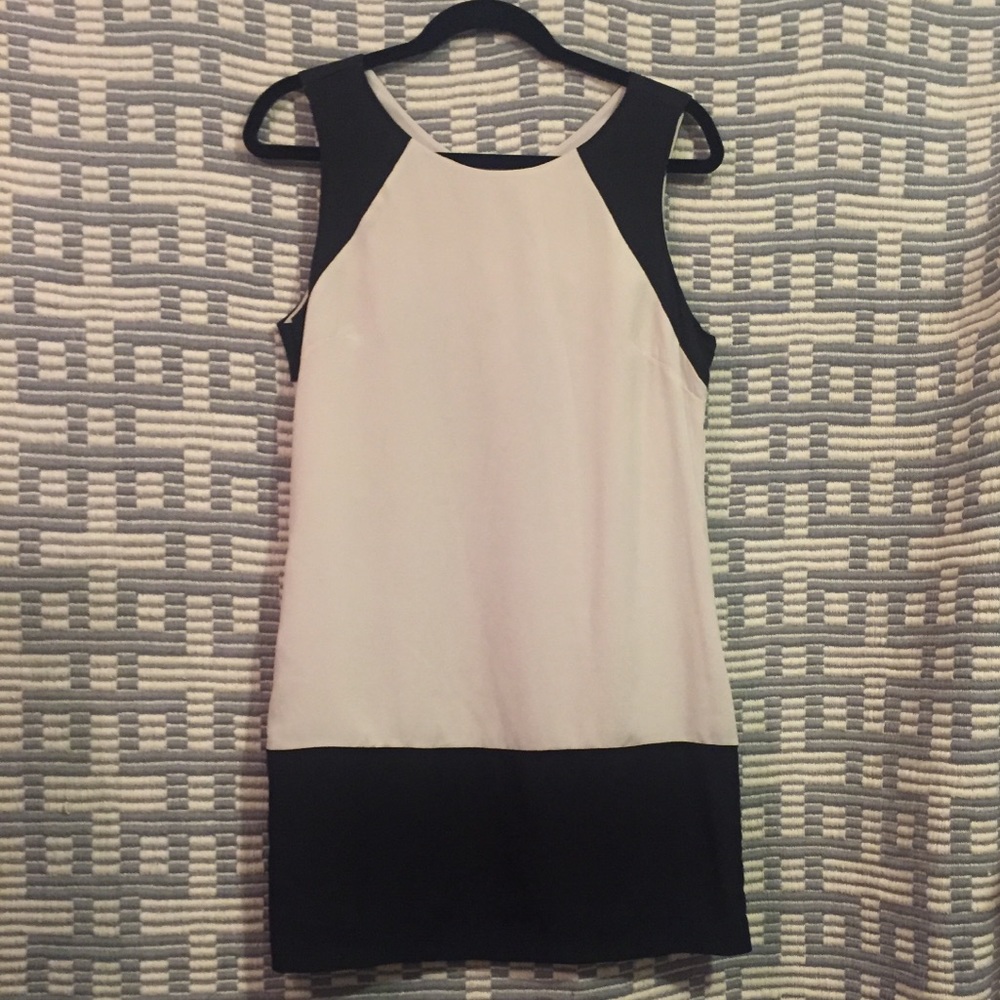 Naked Zebra Sheath Dress